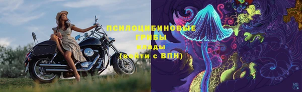соль ск Заволжск