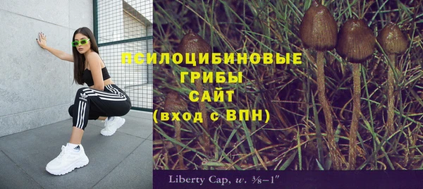 твердый Зеленокумск